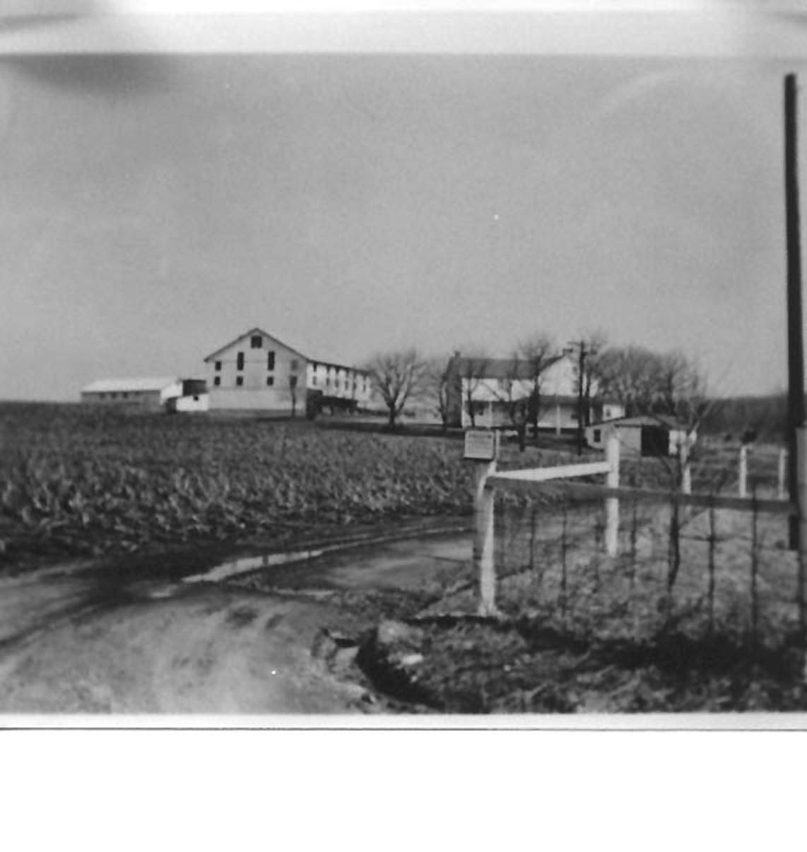A house to the right with two barns to the left down a muddy driveway.