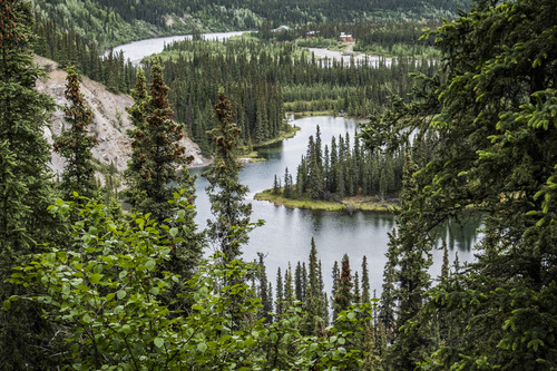 a lake surrounded by spruce trees