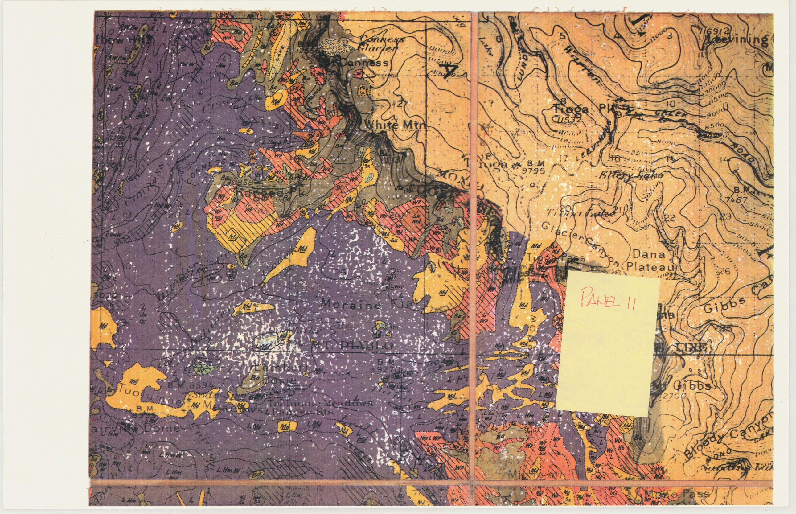 Wieslander 1930s Yosemite National Park Vegetation Map Photo Copy - Panel 11