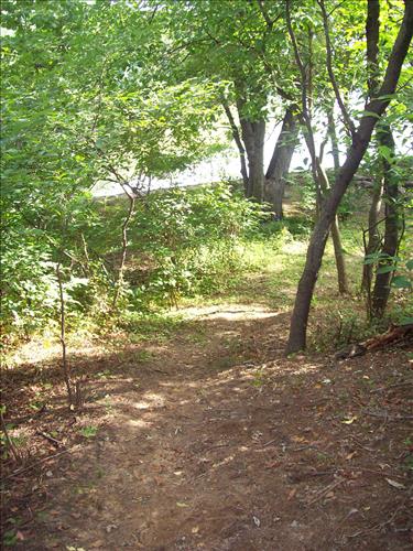 KEAQ YPP 2009 PMIS154684 Kenilworth Aquatic Gardens - SCA Conservation Crew