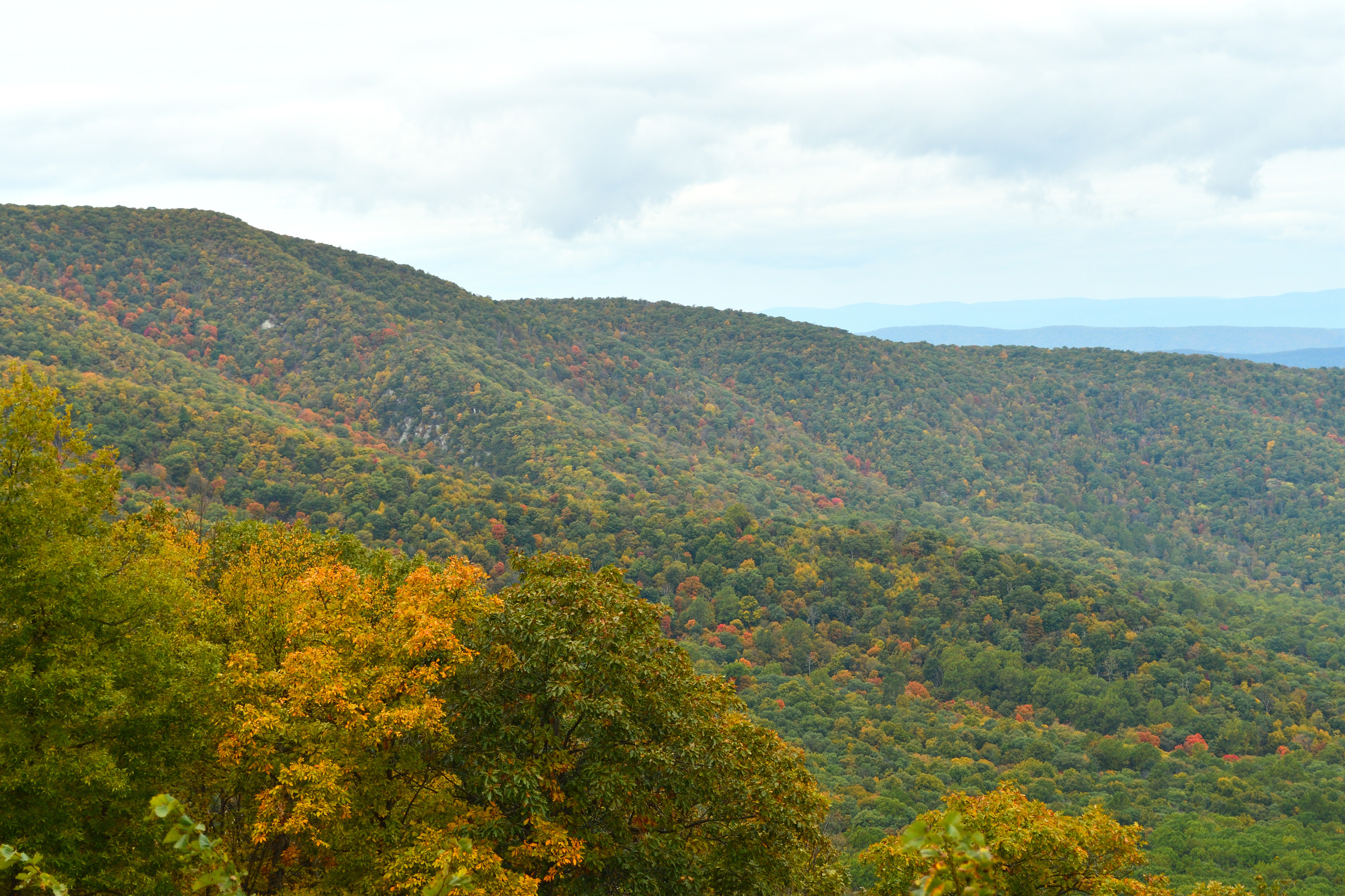 Peaks of color popping up at Gimlet Ridge Overlook.
