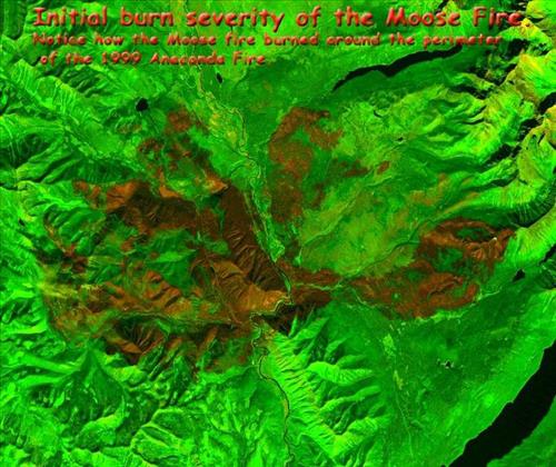 Moose Fire, Glacier National Park, Suppressed Using Minimum Impact Management Tactics in September 2001