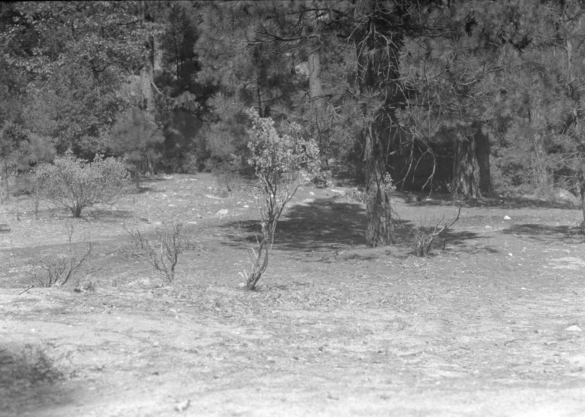 Proposed site of new Native American Village in 1927