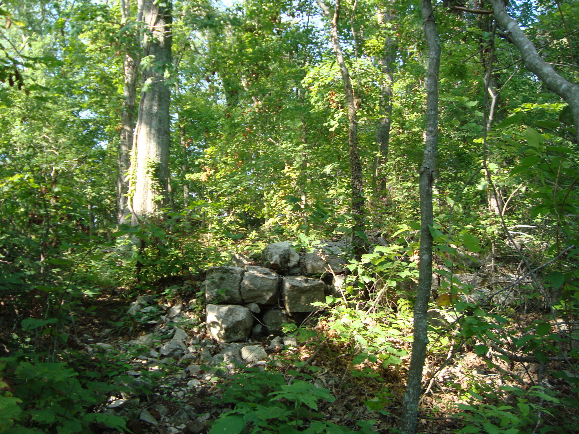 A rock in the middle of a wooded area.