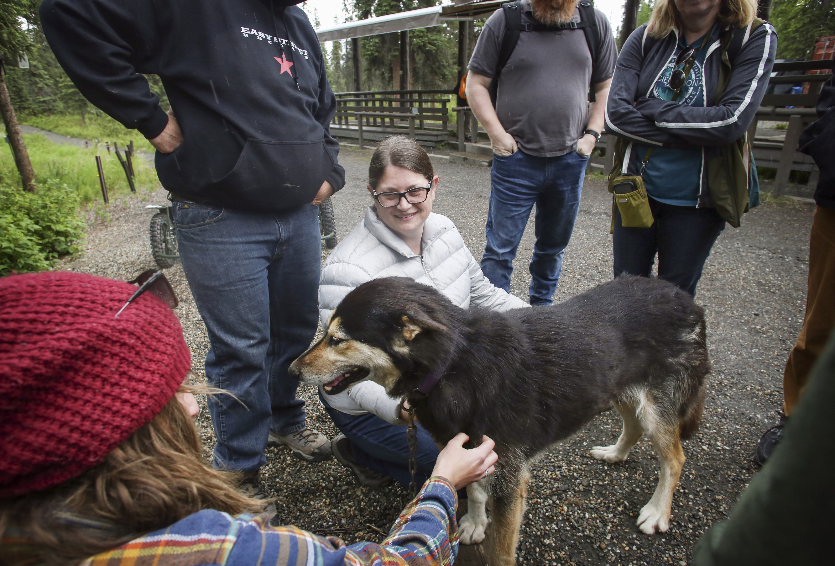 people petting a sled dog