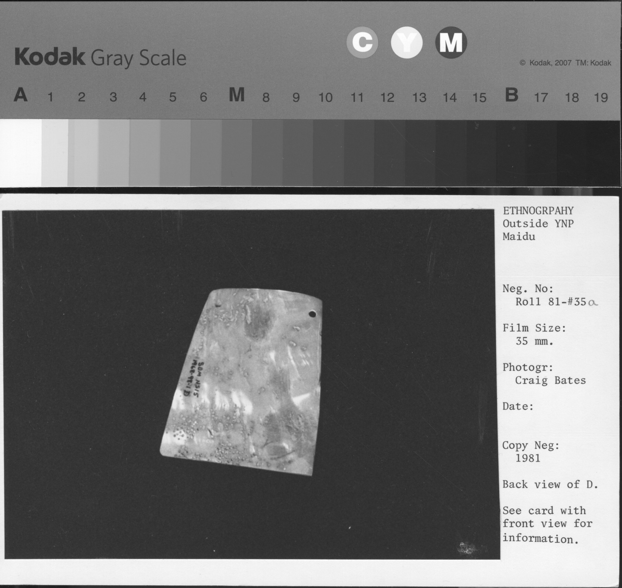 Copy Neg: 1981. Back view of D. See card with front view for information.