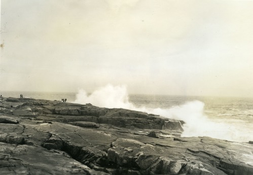 SURF - SCHOODIC POINT.
