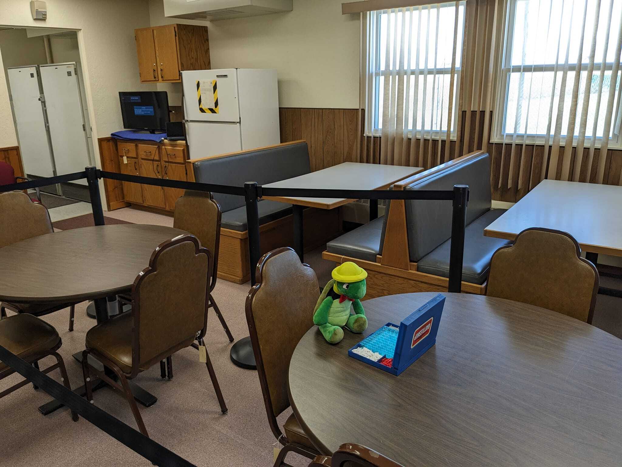 plush turtle sitting on a round wooden card table facing a board from the game Battleship
