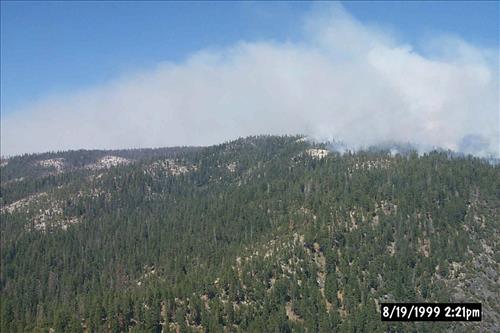 Eleanor Wildland Fire, August-September 1999, Yosemite National Park