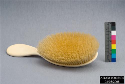 Hair and Clothes Brushes from the Adams National Historical Park Collection