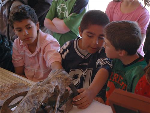 Junior Ranger Explorer Day Camp