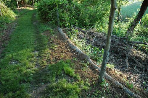 Repair and Stabilize Kenilworth Park Trail System