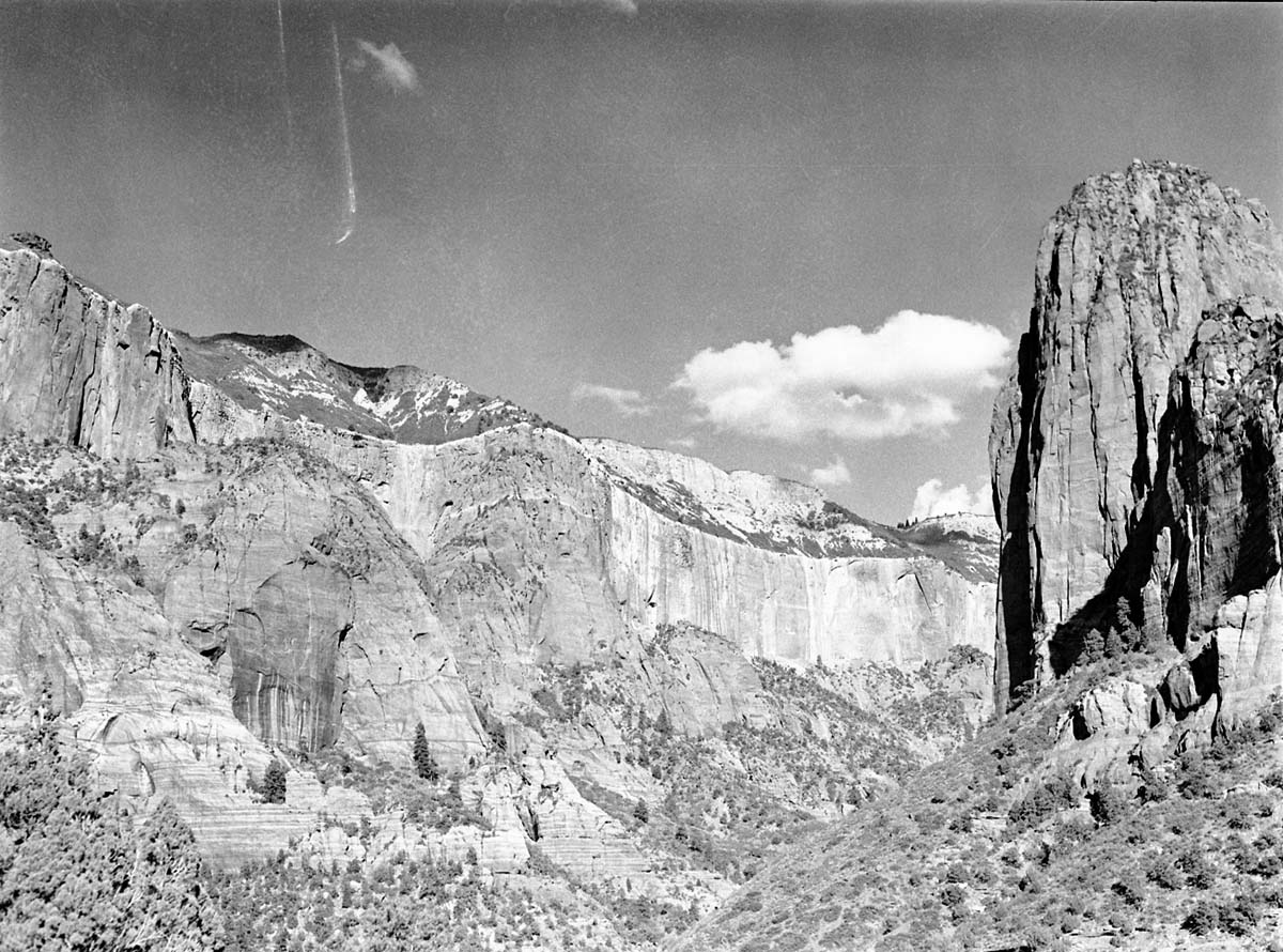 Taylor Creek with Navajo sandstone cliffs above drainage.