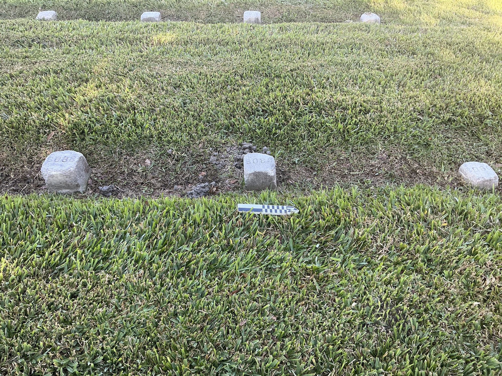 Extra image of flat marble marker