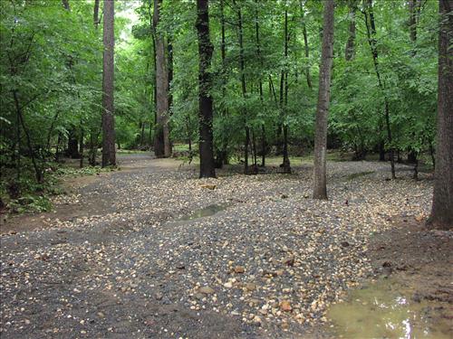 WOTR Storm Damage to Theatre-in-the-Woods Road June 2006