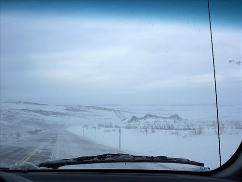 2 Gates of the Arctic National Park and Preserve Hares Survey 2004