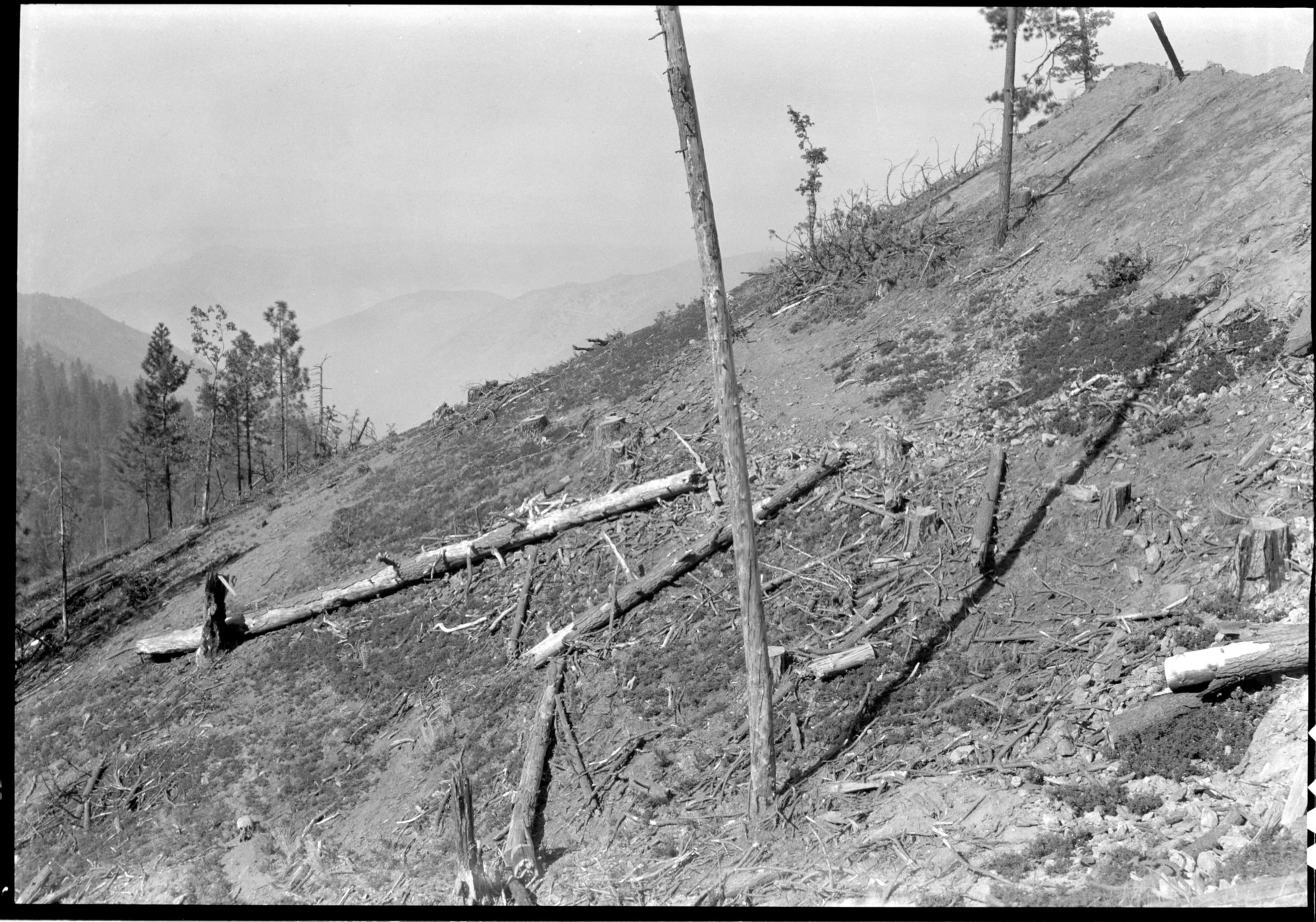 Yosemite Lumber Co. Slash and debris left on cutover lands owned by the Yosmeite Lumber co.