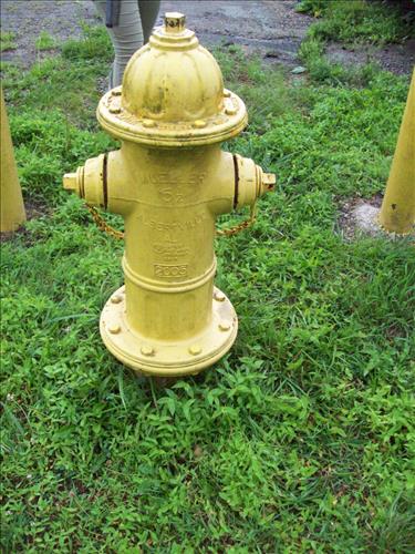 YCC Program at Prince William Forest Park Summer 2014