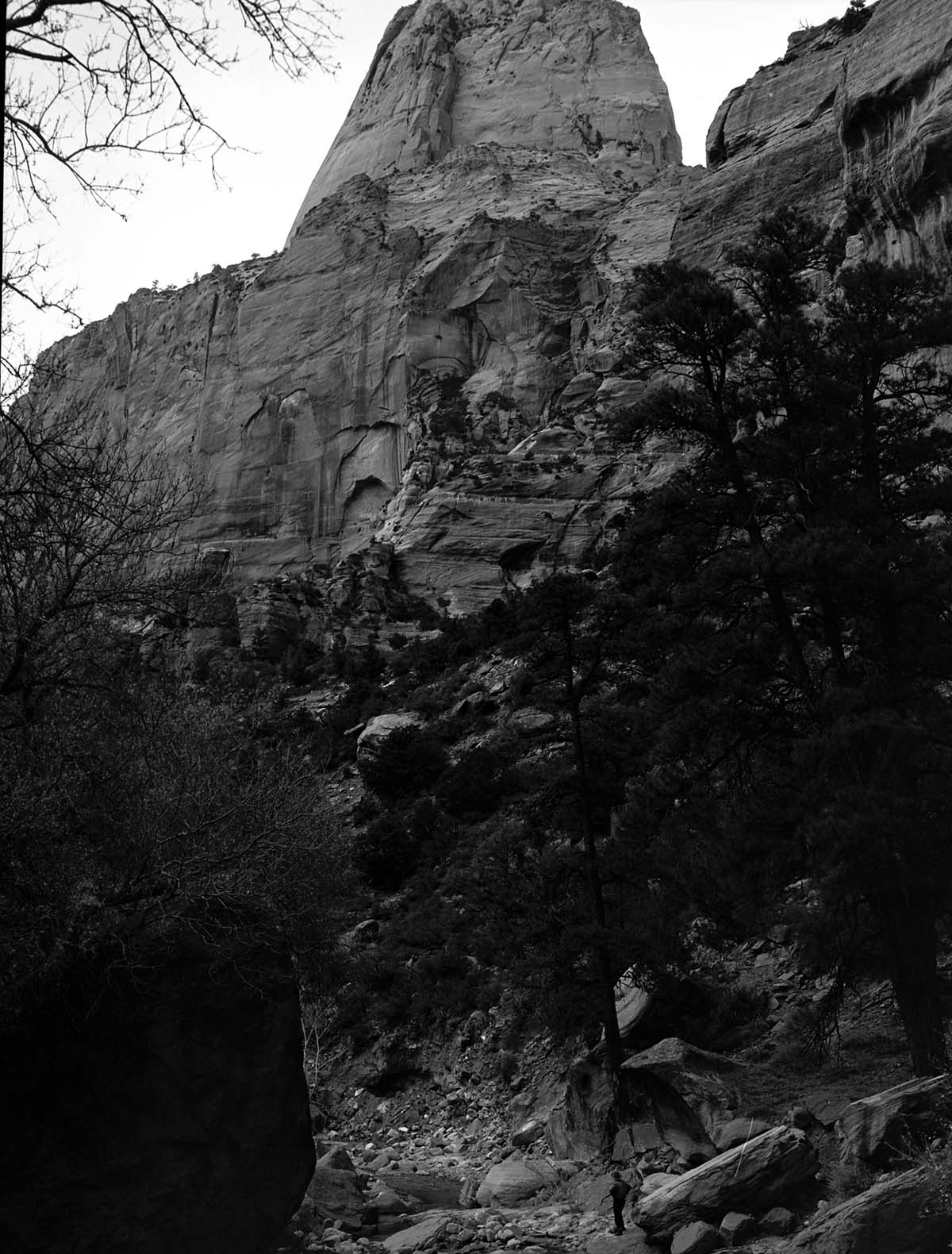 Man standing in La Verkin Creek canyon.