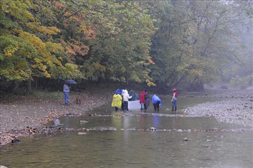 Cuyahoga Valley Environmental Education Center, Chippewa Creek Water Testing1
