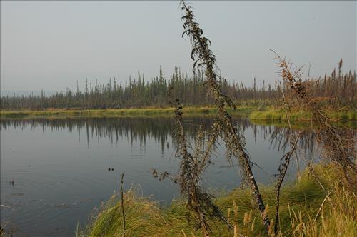 2 Water Quality Testing in Yukon-Charley Rivers National Preserve, August 2005
