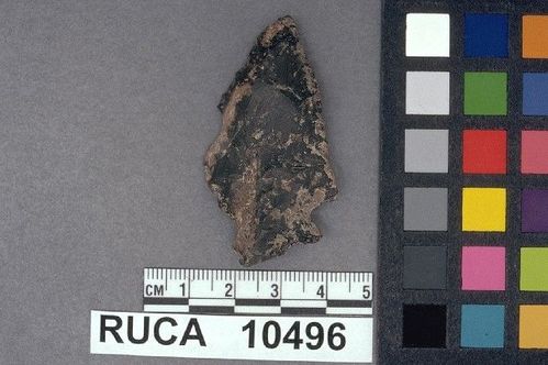 RUCA   10496 -- Point, Projectile