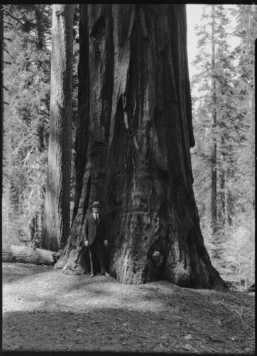 Mr. Williams, Sec. Wilbur's representative.