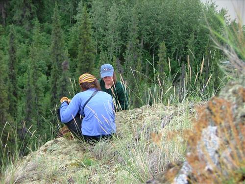 11 Yukon-Charley Rivers National Preserve Peregrine Falcon Survey July 2006