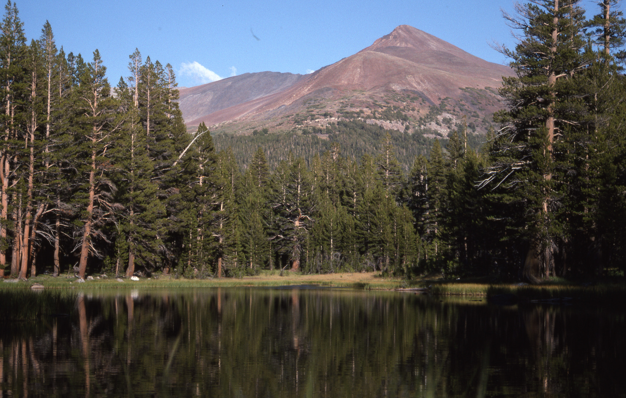 Tuolumne Meadows
