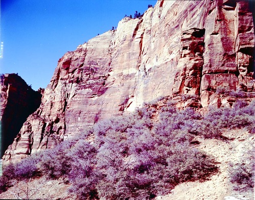 Color Photos of Zion Canyon - 4x5.