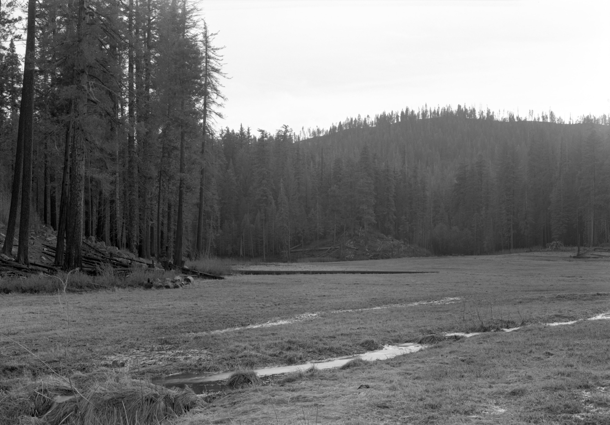 View across meadow looking SW on Cuneo property.
