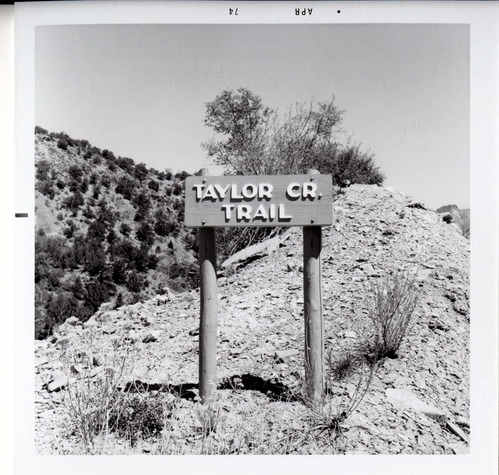 Sign reading 'Taylor Creek Trail' in Kolob Canyon.