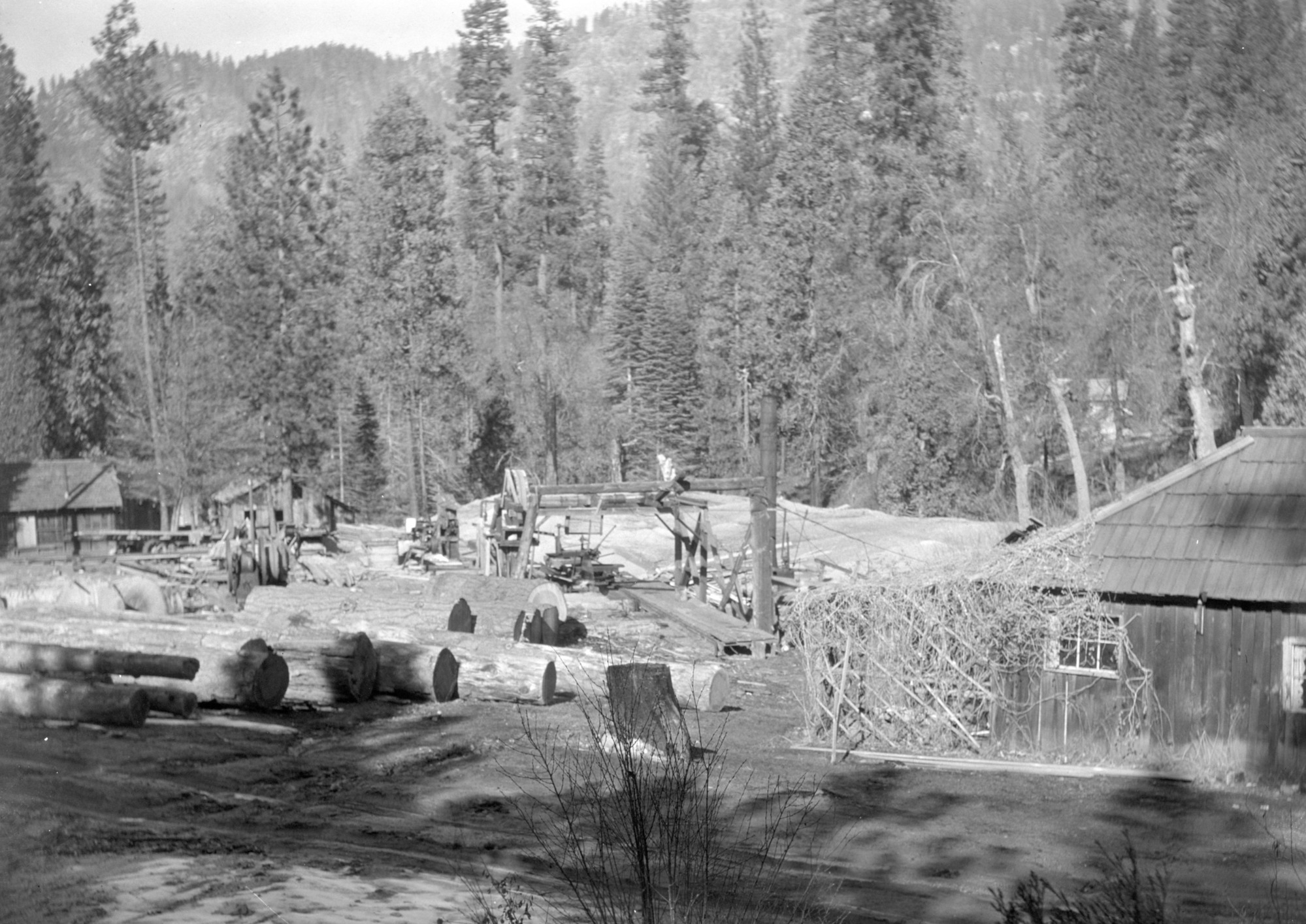 Greely-Quigg property. Lumbering operation?