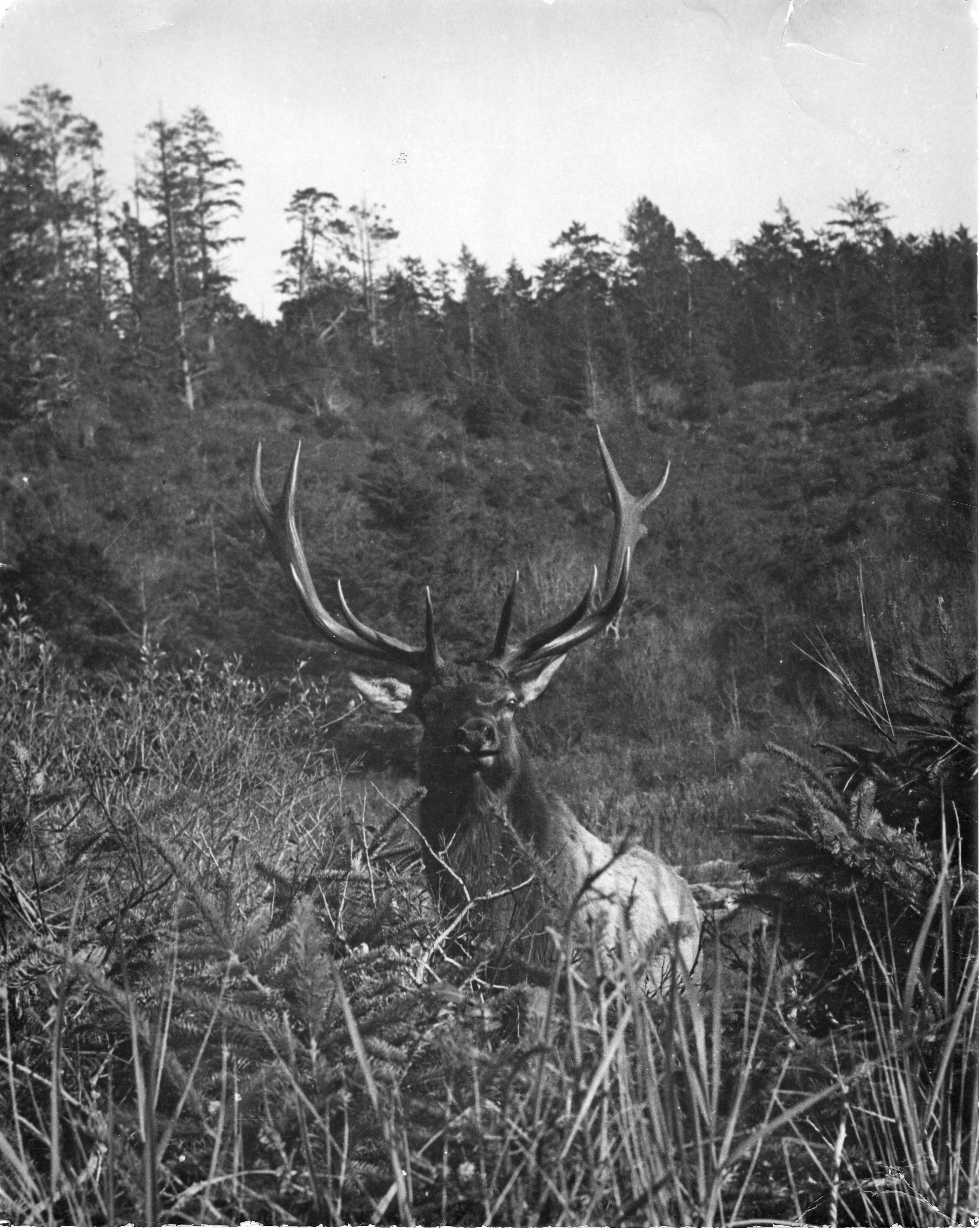 Humboldt County, California