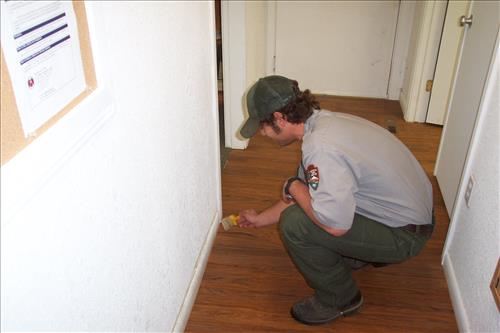 Painting interior RM building