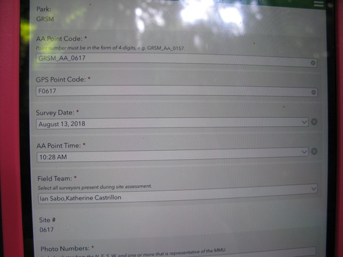 Plot Code: GRSM_AA_0617_1