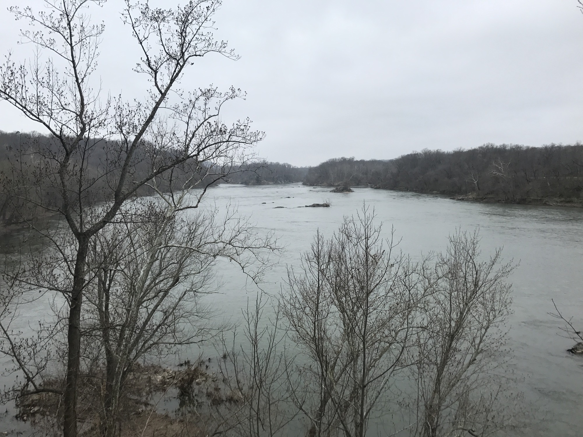 overlooking Potomac River with leafless trees in foreground