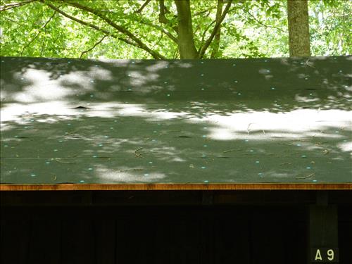 Replace Roof Coverings in Camp 3 at Prince William Forest Park in May 2013