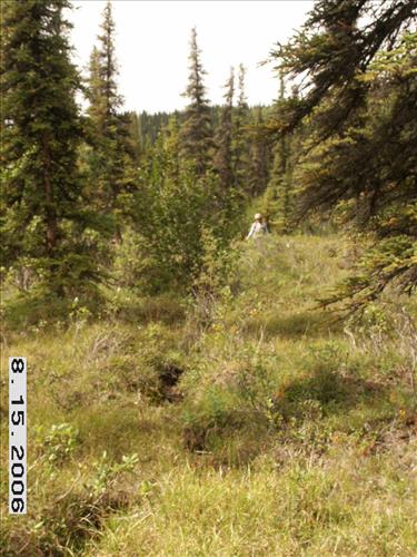 3 Small Mammal Survey in Denali National Park and Preserve in August 2006