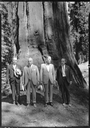 Group in front of the Montana Trees. L-R: gov. Green, Rhode Island; Secretary of War, Dern; Gov. James Rolph, Calif.; Gov. Blackwood, South Carolina