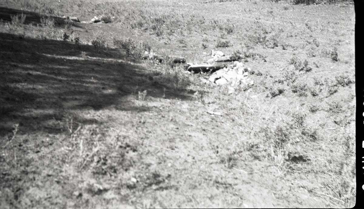 Small log check dams.