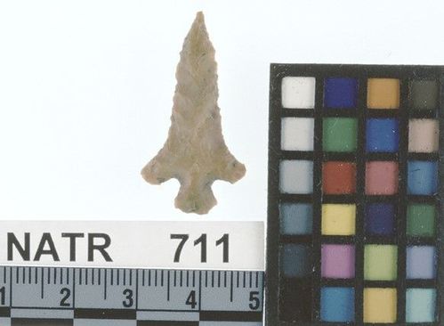 NATR     711 -- Alba Cluster projectile point