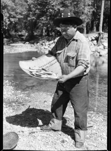 Chief Le-me demonstrating use of plant roots to suffocate fish in Yosemite Creek.