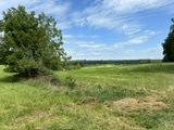 Agricultural Field at FRSP 08/19/24, a potential Resilient Forests Initiative forest restoration site.