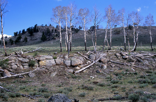 Weathered and rounded rock layer with aspens growing on top