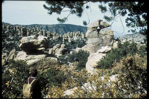 Chiricahua National Monument, Arizona