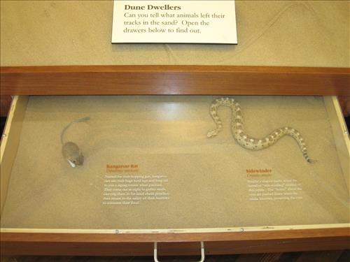 Mojave National Preserve Kelso Depot Visitor Center Exhibits 1 of 5