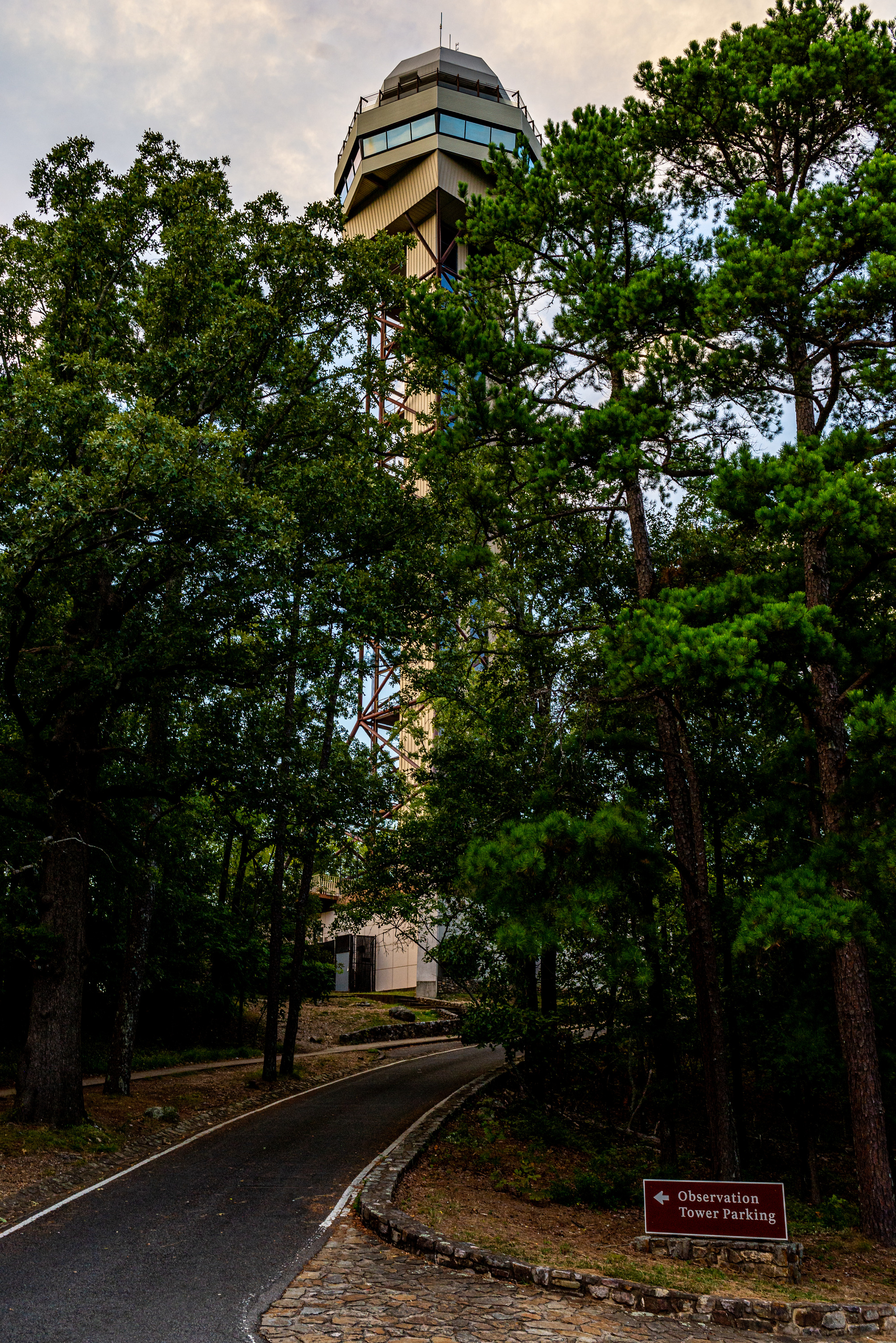 A road leads through the trees to the Mountain Tower, which stands tall behind them. 