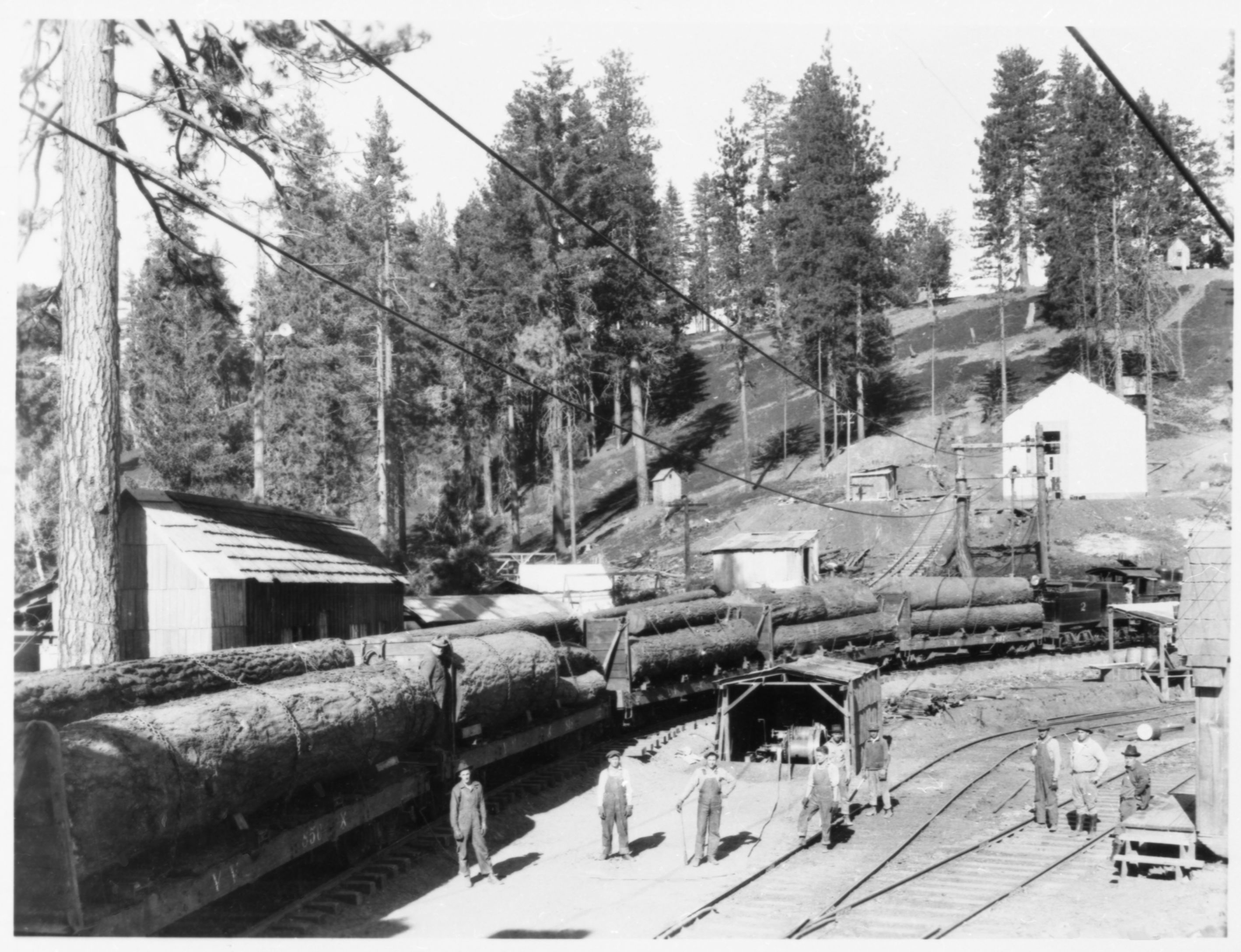 Copy Neg: J. Ernest, 1983. Yosemite Valley Railroad. From negative in file of Al Rose. Original print in over-sized photo drawl in RL.