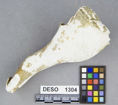 DESO    1304 -- Hammer